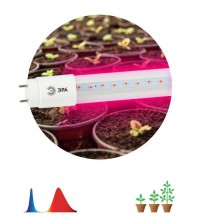 Лампа светодиодная FITO-9W-RB-Т8-G13-NL 9Вт T8 линейная 48LED 2835 IP20 35000ч для растений красн./син. спектр стекло Эра Б0042986
