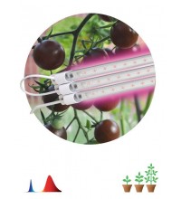 Светильник модульный для растений FITO-3х10W-LINE-RB90 30Вт красно-синего спектра ЭРА Б0050924