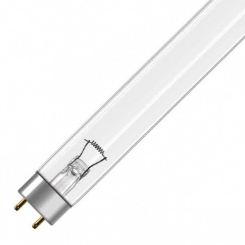 Лампа TUV 15W T8 G13 d26x451,6 (бактерицидная) PHILIPS 