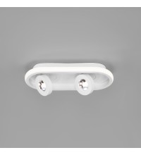 Потолочный светильник 20123/2 LED белый