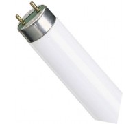 Лампа люминесцентная OSRAM L 65W/640 SA G13 D38mm 1500mm (холодный белый 4000 K)